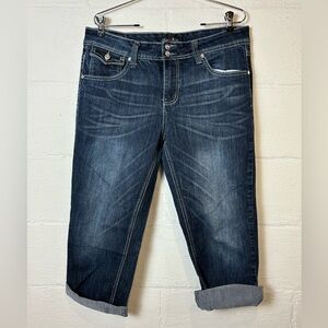 Love Nation Woman’s Plus Size Denim Capri Jeweled Chic Y2K Darkwash Jeans Sz 14